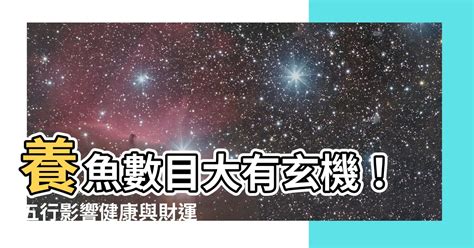 魚數目 風水|【魚隻數量】養魚數目大有玄機！五行影響健康與財。